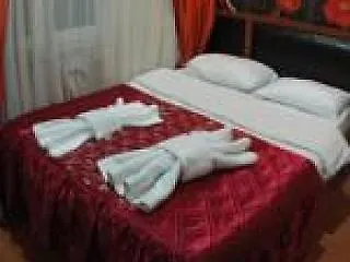 Emin Hotel 3*