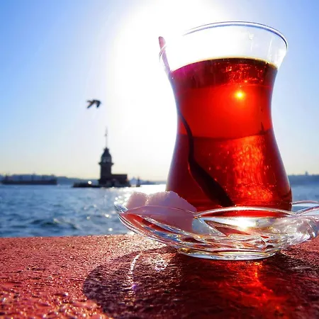 Hotel Erenler & Provincia di Istanbul