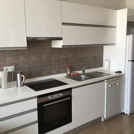 Ikon Apartment *