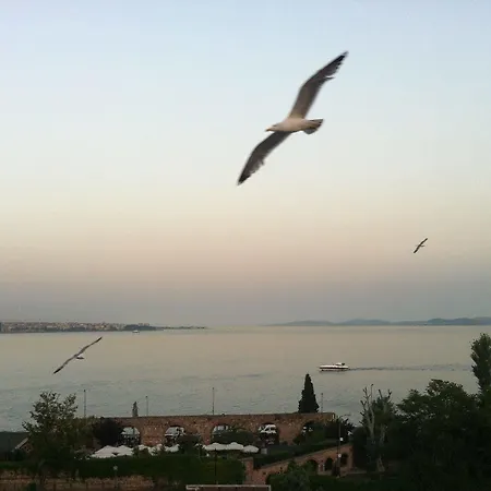 Hotel Spinel 3*