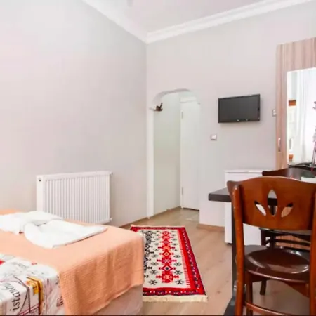 سكن بلاط اسطنبول