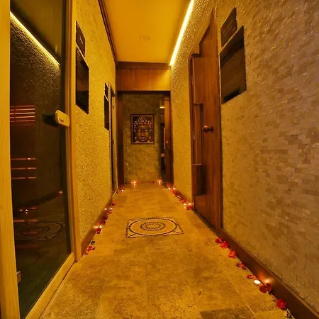 מלון Four Sides Taksim Lion Hotel&spa איסטמבול