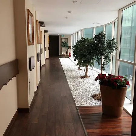 My Palace Saw 伊斯坦布尔