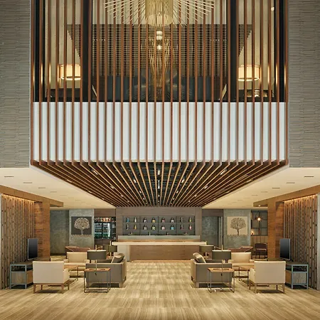 Hotel Bof Business