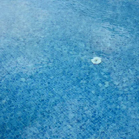 Kadak Garden Otel 2*