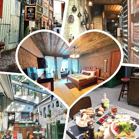 Bed & Breakfast Zeytin Agaci Istanboel