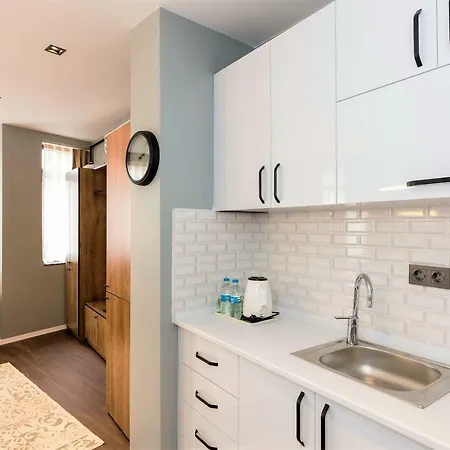 Apartment Galataist *