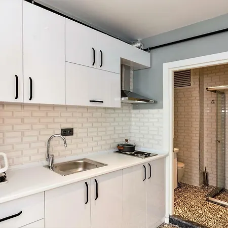 Apartment Galataist