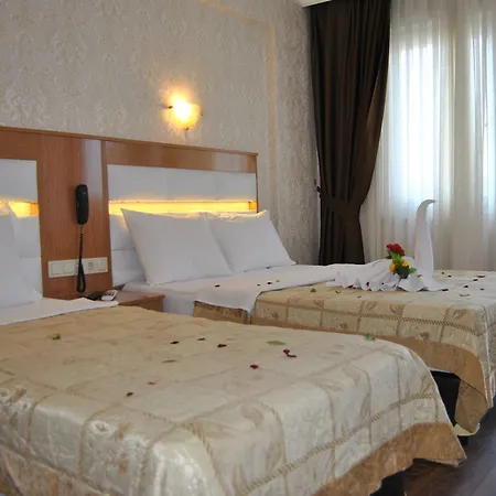Отель Star Park 3*