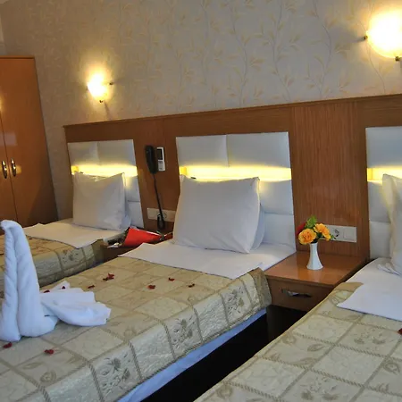 Отель Star Park 3*