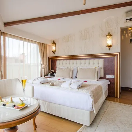 Hotel Arden City Hotel-special Category