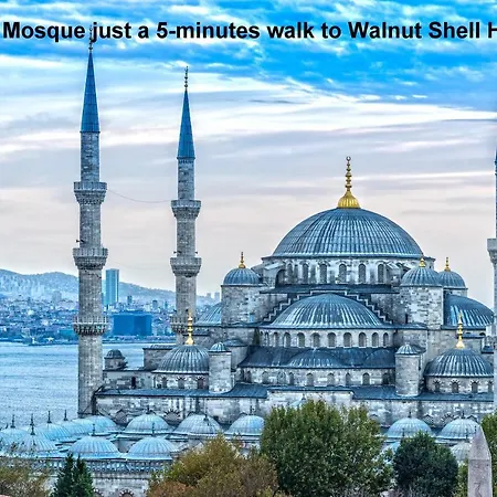 Walnut Shell - Old Sultanahmet Otel