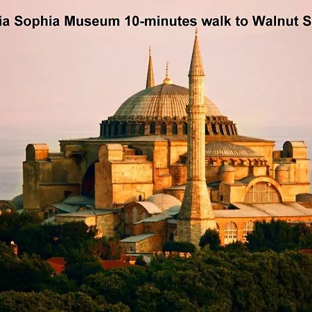 Walnut Shell - Old Sultanahmet 3* İstanbul