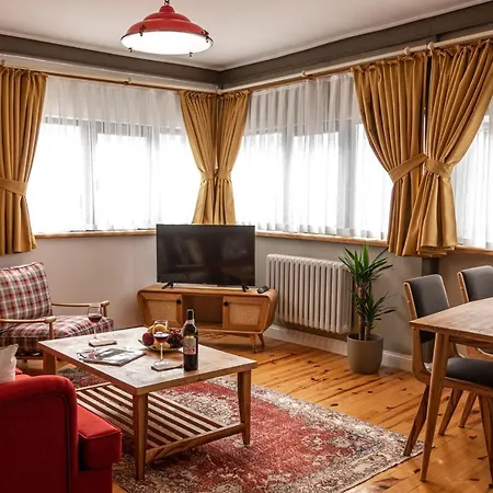 The Istanbuller Appartamento Provincia di Istanbul