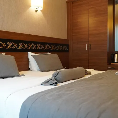ホテル Bern 3*