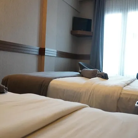 ホテル Bern 3*