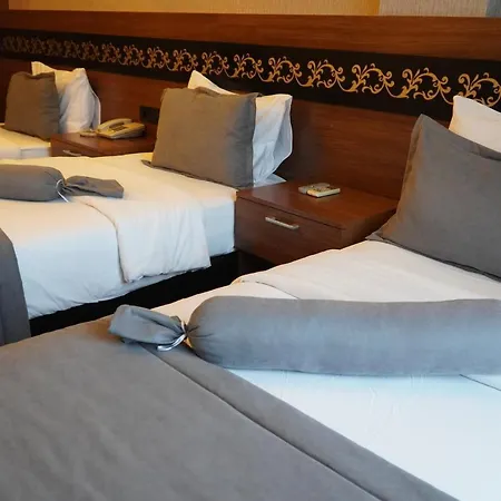 ホテル Bern 3*