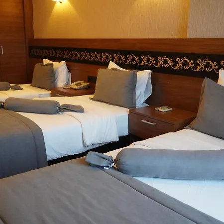 ホテル Bern 3*
