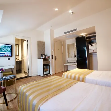 Hotell Icon Taksim 4*