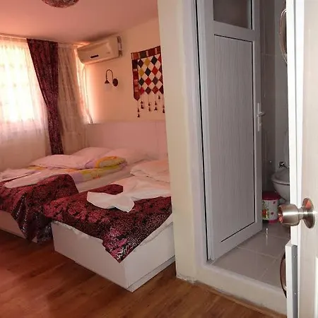 Tulip Гостевой дом 2*