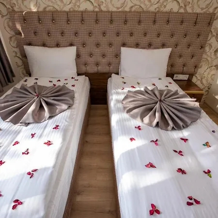 Mount Ararat Hotel 4*