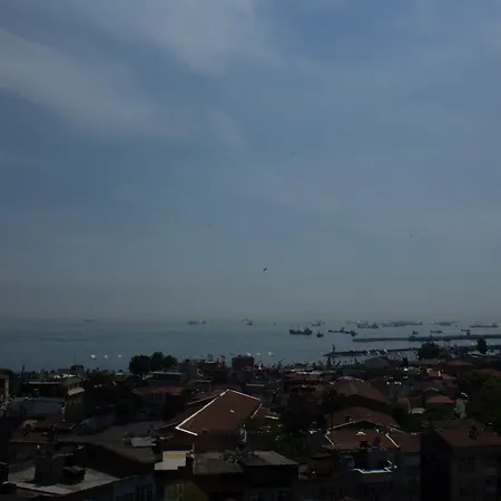 Hotel Tulip House 3*