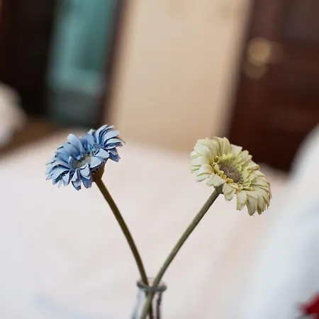 Hotel Sultanahmet Cesme 3*