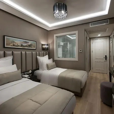 Le Petit Palace - Special Category