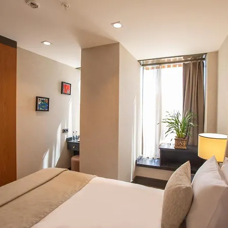 Hotel Root Karakoey Istanboel