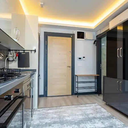アパート Lovely And Central Flat Near Ciragan Palace In Yildiz Besiktas イスタンブール