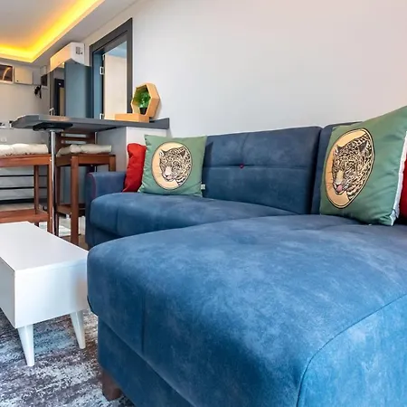 アパート Lovely And Central Flat Near Ciragan Palace In Yildiz Besiktas イスタンブール