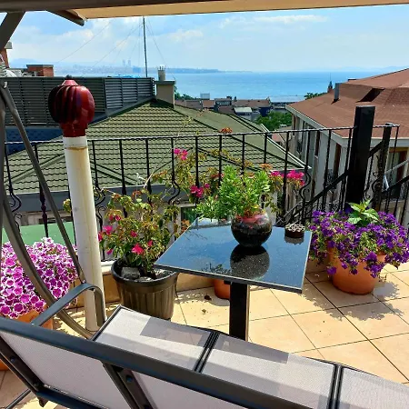 Agora Hotel 3*
