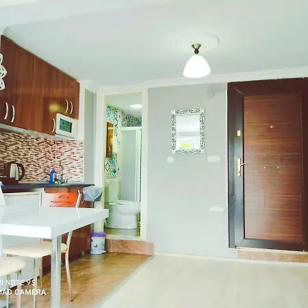 Sultanahmet Sea Star Apart * 이스탄불