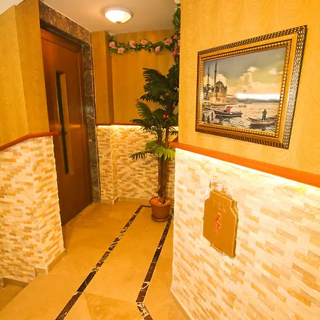 酒店 伊斯坦布尔老城区场馆酒店 伊斯坦布尔