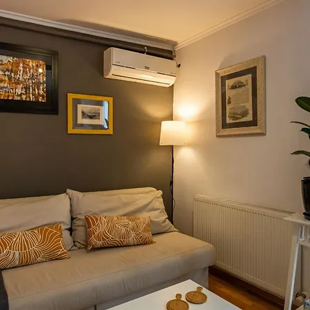 Superb Flat With View And Terrace In Beyoglu 伊斯坦布尔