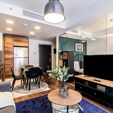 Fully Furnished Flat With Balcony In Sisli 公寓