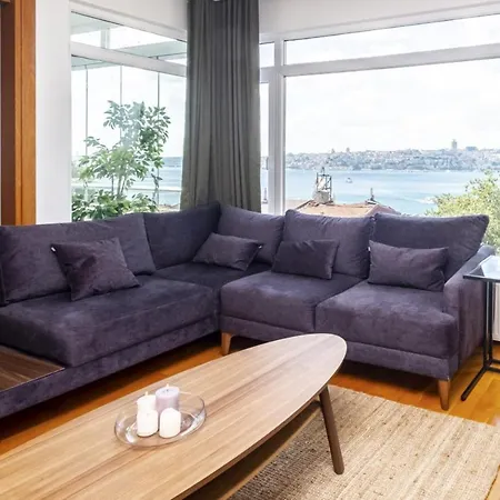 With A Panoramic Bosphorus View アパート イスタンブール