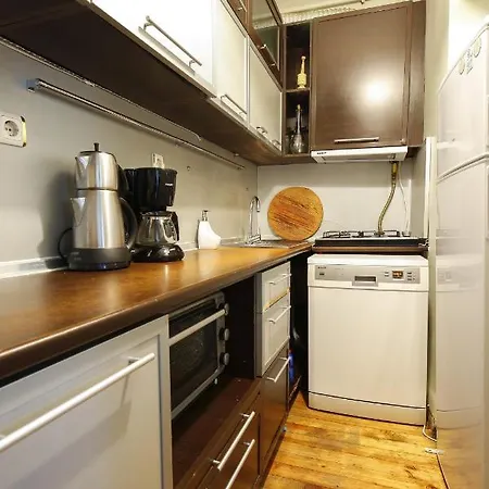 Superb Flat With Backyard In Cihangir Beyoglu アパート イスタンブール