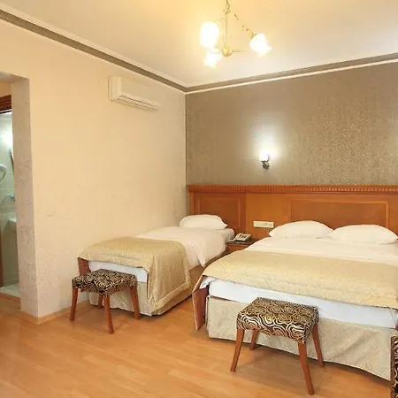 Hotel New House