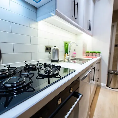 Fatih'de Olanagi Sunan Esyali Apartment *