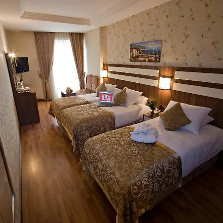 Hotel Aspen & Old Provincia di Istanbul