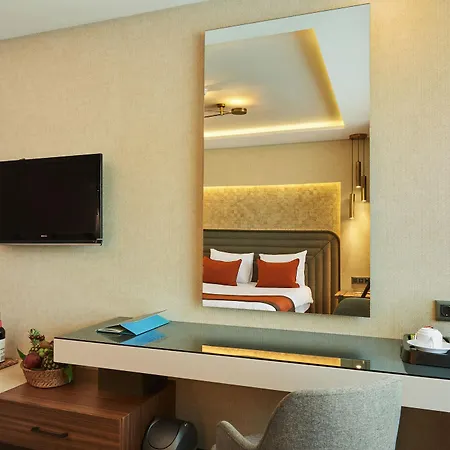 Grand Gulsoy Old City Hotel Istanbulská provincie