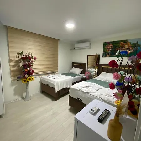 Sultanahmet Family Hotel *