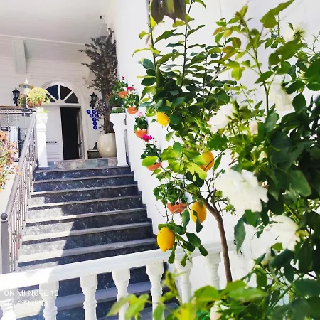 Hotel Solomon's Mansion *