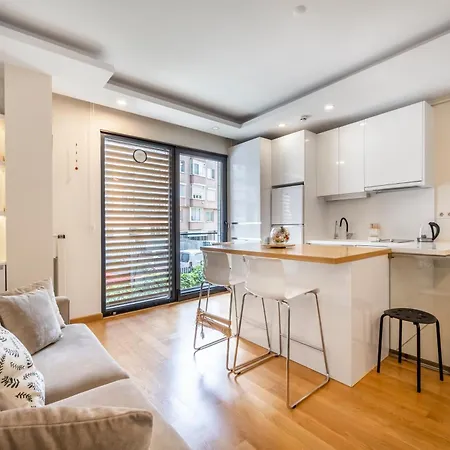 Modern Cozy Duplex In Great Location Center 公寓 伊斯坦布尔
