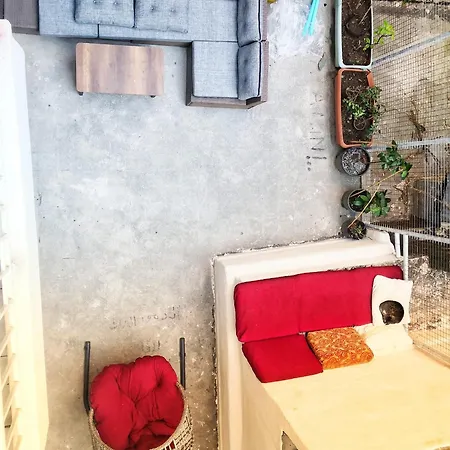Gafa Garden & - Great Location Hostel