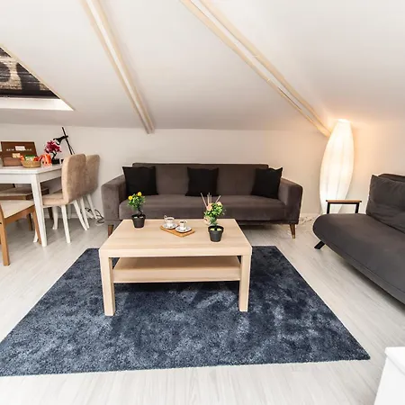 Dach Wochnung Mit Terrasse Homestay