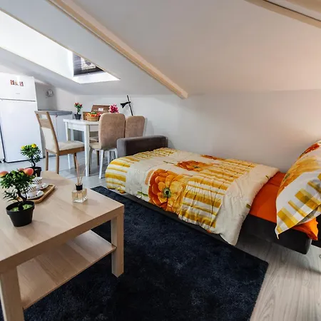 Dach Wochnung Mit Terrasse Homestay