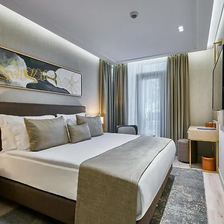Hotel Rayelin Old Istambul