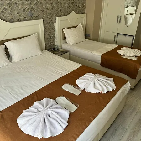 B&B Kupa